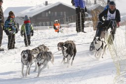 Lenk 2012 SM